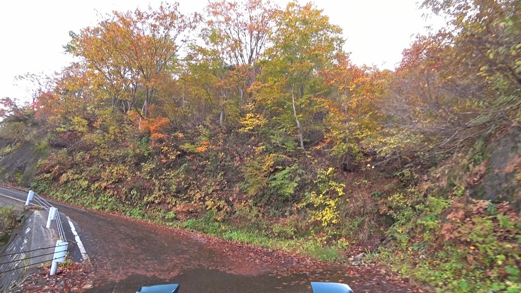 奥只見湖・樹海ライン 国道352号